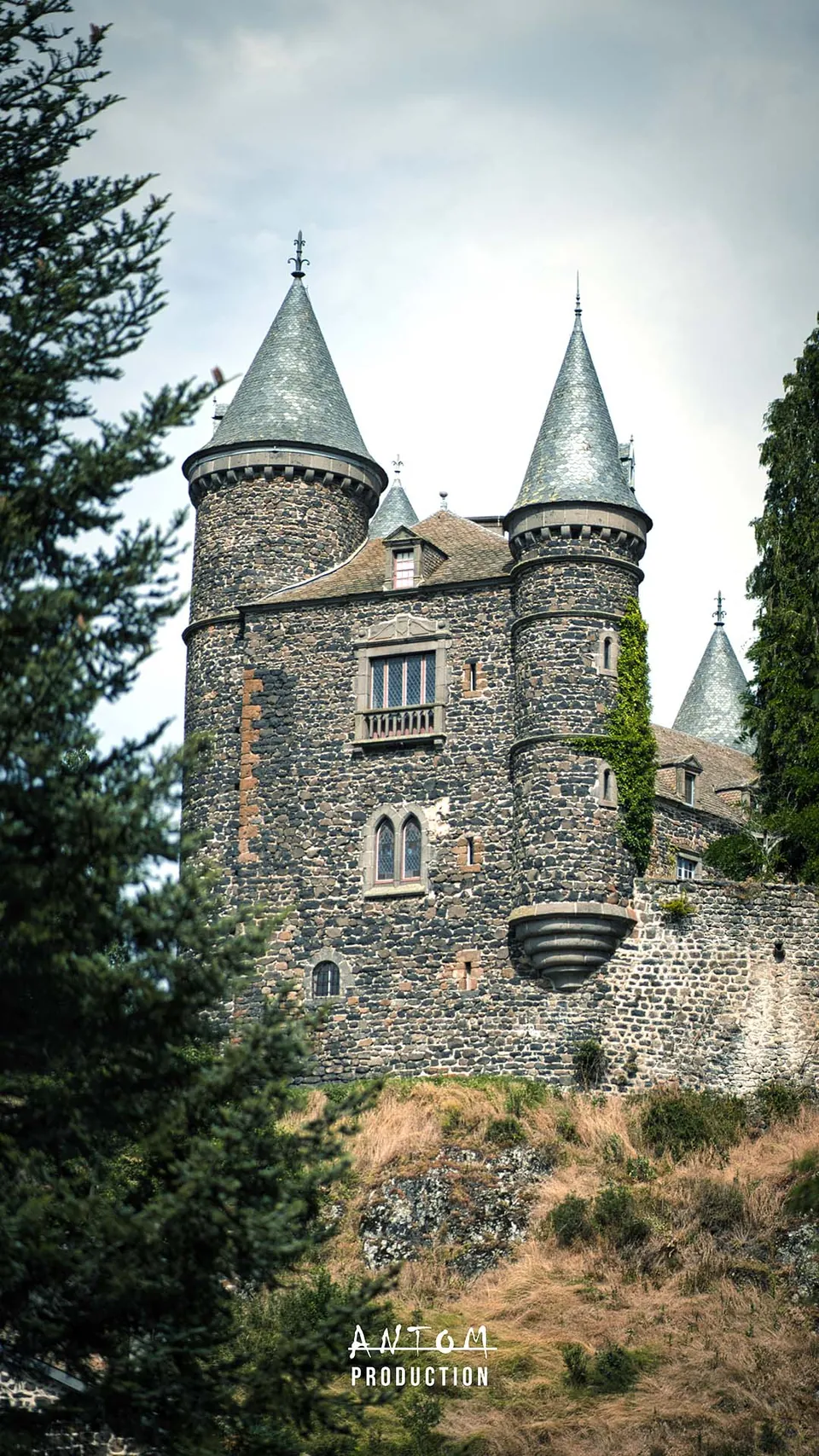 Tours coniques d'un château vues en contre-plongée